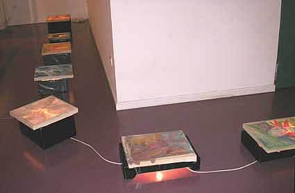 Jardín (instalación) - óleo sobre tela invertida y cajas de luz, medidas variables, 2005-06